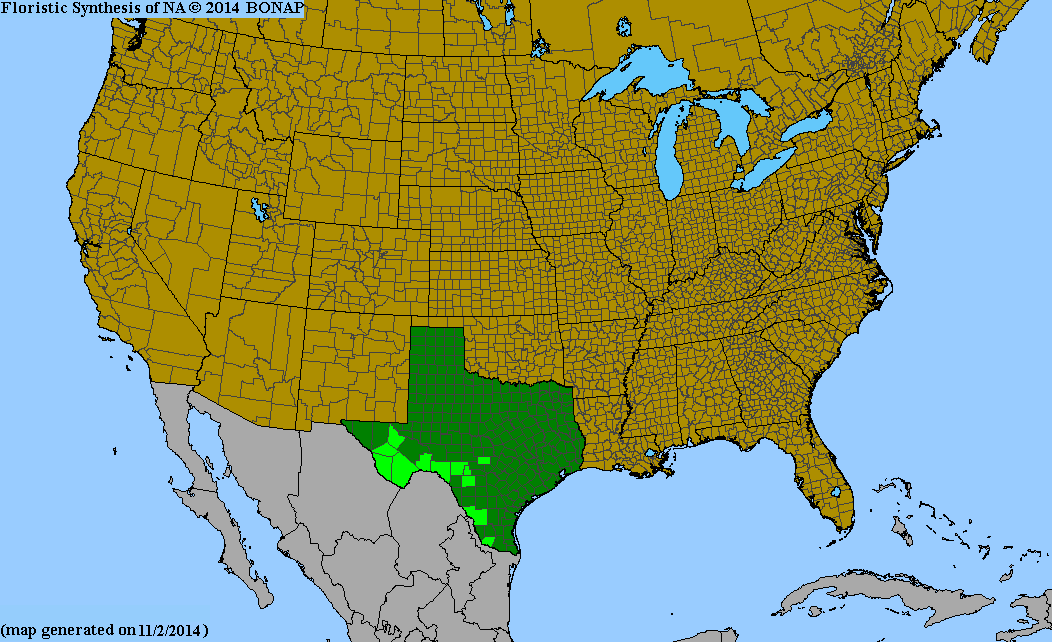 County distribution map of Eucnide bartonioides var. bartonioides - Yellow Stingbush